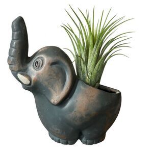 Mexico terracotta small elephant planter hand painted.